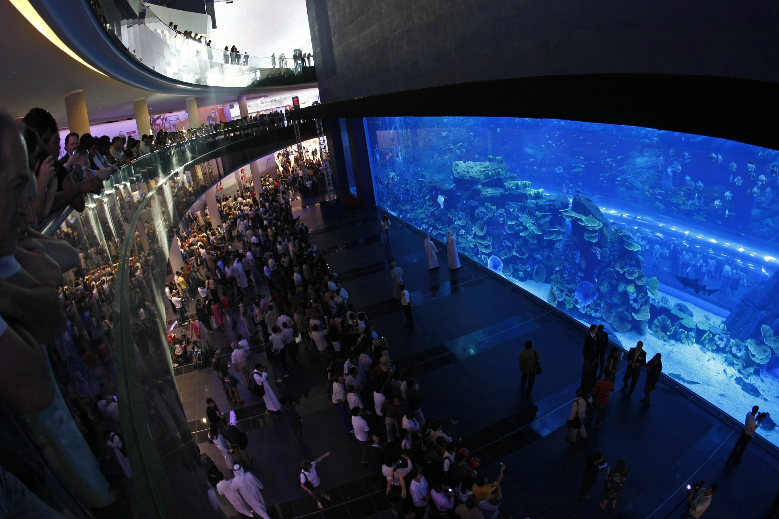 dubai_aquarium_panel_4-authorized_photo.jpg